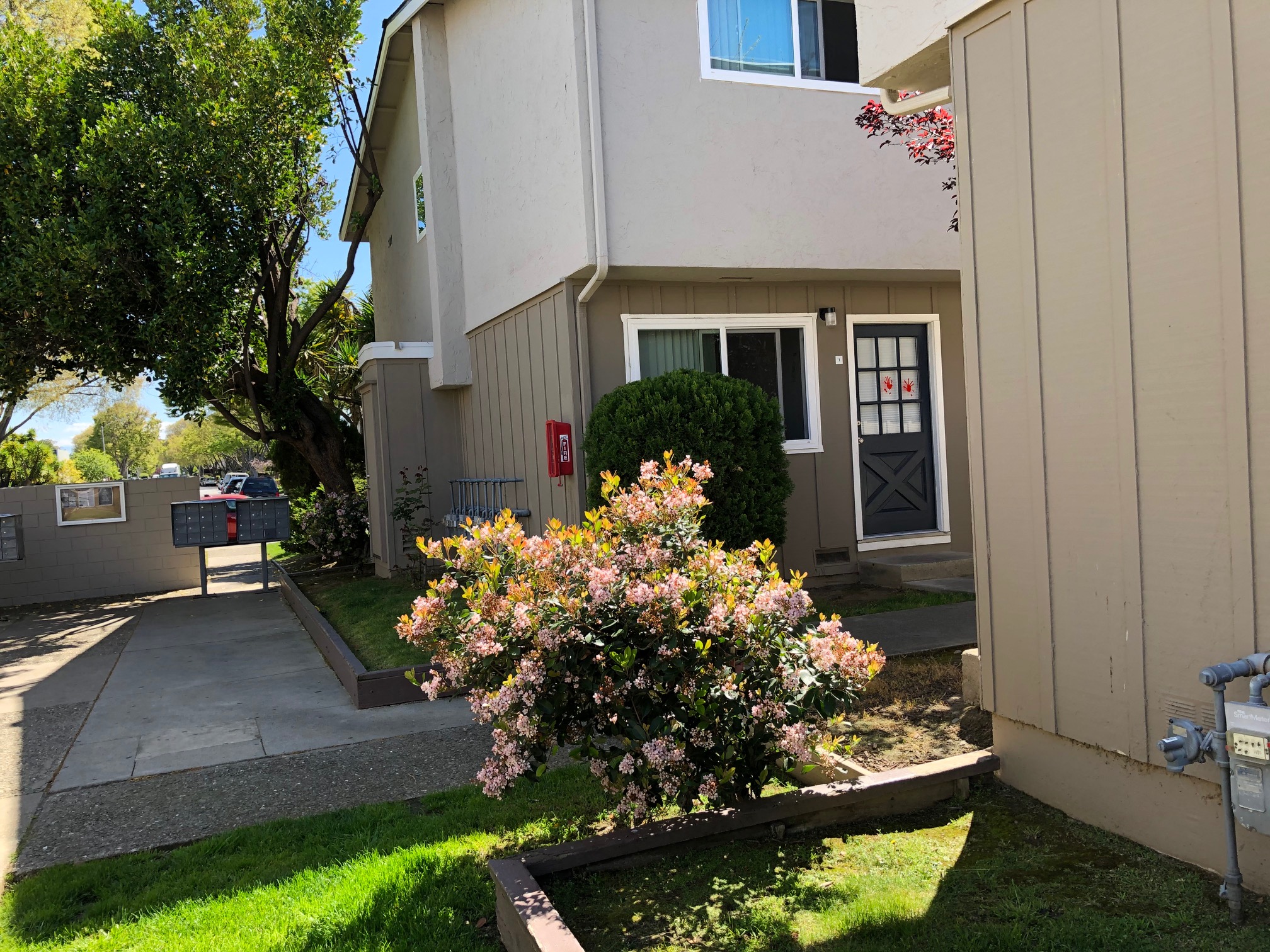 Del Prado I Apartments photo 3